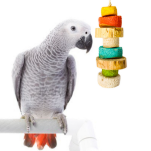 BIRD KABOB - BRINQUEDO - BIRD KABOB - AVES