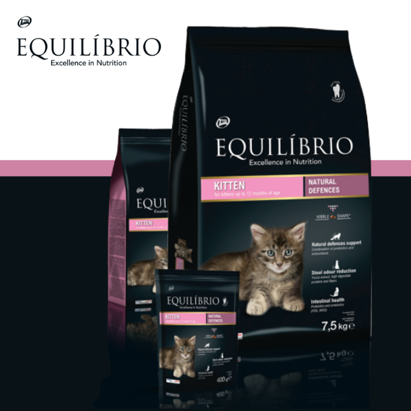 EQUILÍBRIO - KITTEN