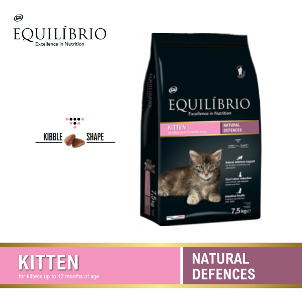 EQUILÍBRIO - KITTEN