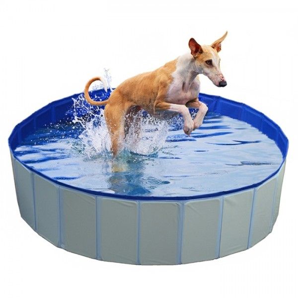 DUVO PLUS –  PISCINA PARA CÃO