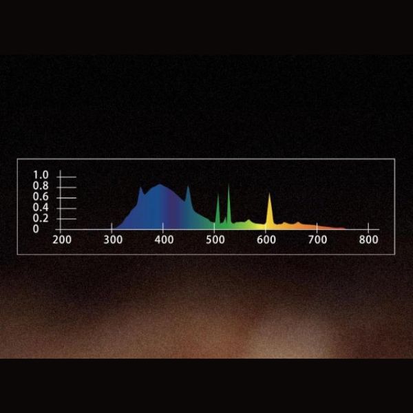 TERRATLANTIS – LÂMPADA “DESERT FLUORESCENT”