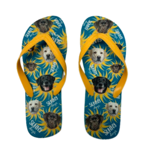 FLIP FLOPS - CHINELO DE DEDO "LABRADOR"