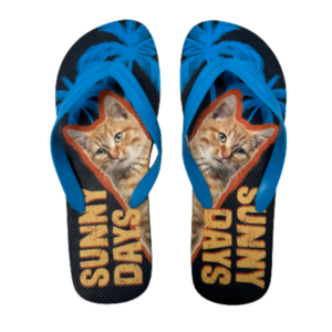 FLIP FLOPS - CHINELO DE DEDO "ORANGE TABBY"