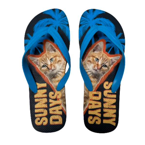 FLIP FLOPS – CHINELO DE DEDO “ORANGE TABBY”