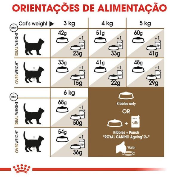 ROYAL CANIN CAT – AGEING 12+