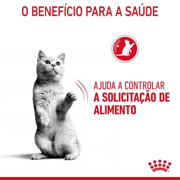 ROYAL CANIN CAT – APPETITE CONTROL