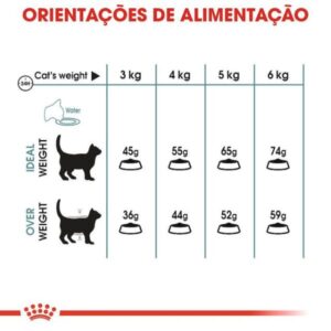 ROYAL CANIN CAT - HAIRBALL CARE