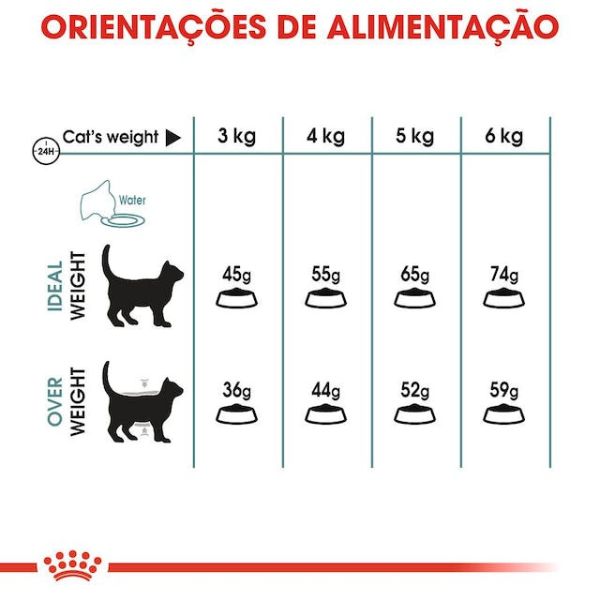 ROYAL CANIN CAT – HAIRBALL CARE