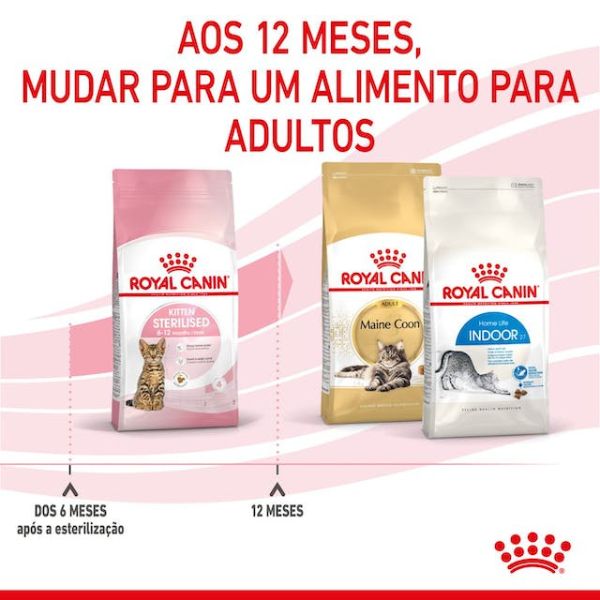 ROYAL CANIN – KITTEN STERILISED