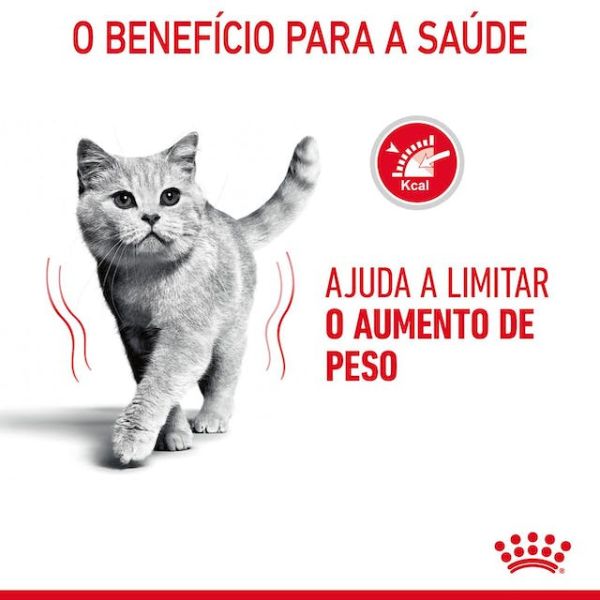 ROYAL CANIN CAT – LIGHT WEIGHT CARE