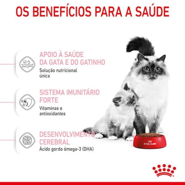 ROYAL CANIN – MOTHER AND BABYCAT