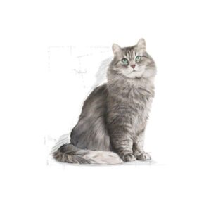 ROYAL CANIN CAT - SENSIBLE 33