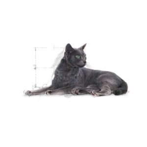 ROYAL CANIN CAT - STERILISED 7+