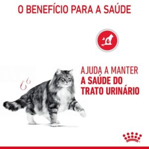 ROYAL CANIN CAT - URINARY CARE