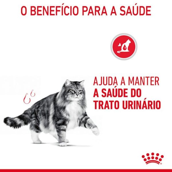 ROYAL CANIN CAT – URINARY CARE