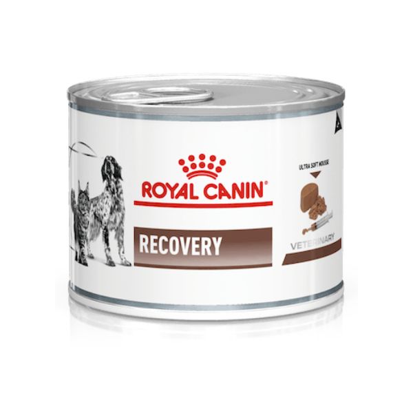 ROYAL CANIN DOG/CAT – RECOVERY