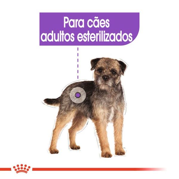 ROYAL CANIN – MINI STERILIZED