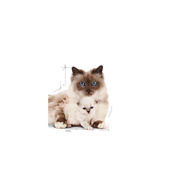 ROYAL CANIN CAT – MOTHER & BABYCAT ULTRA SOFT MOUSSE