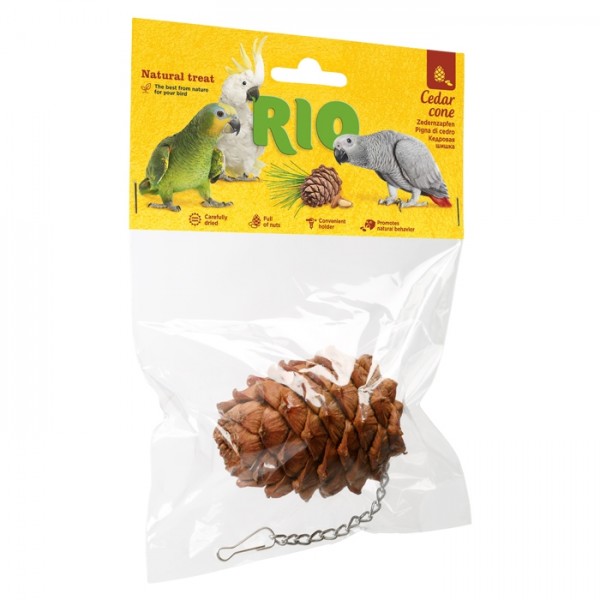 RIO – PINHA DE CEDRO PARA AVES