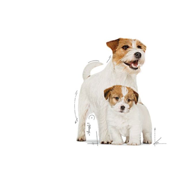 ROYAL CANIN – STARTER MOTHER & BABYDOG ULTRA SOFT MOUSSE