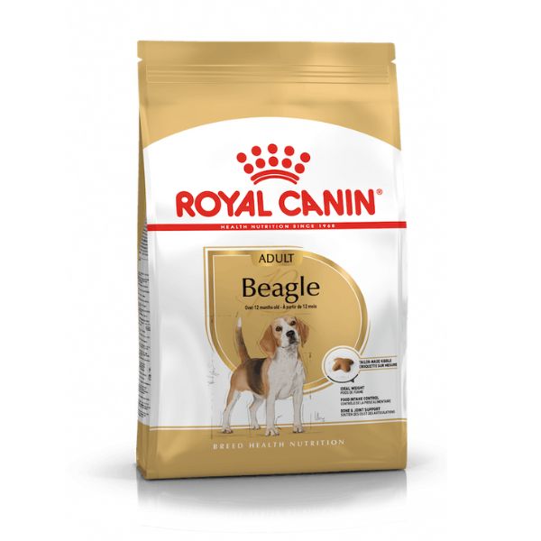 ROYAL CANIN DOG – BEAGLE ADULT